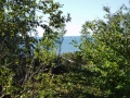 North ocean view through the trees